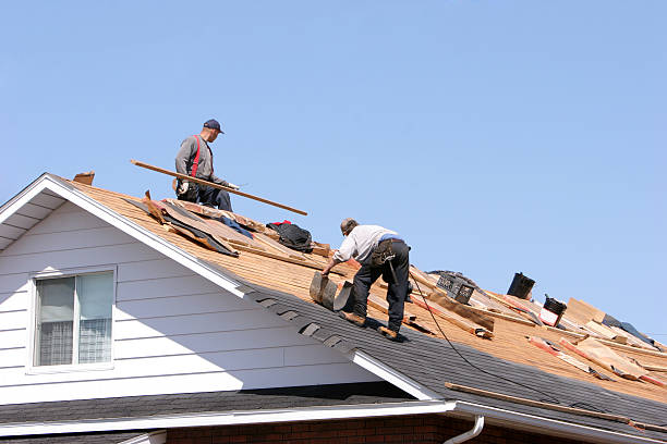 Best Roof Coating and Sealing  in Licking, MO