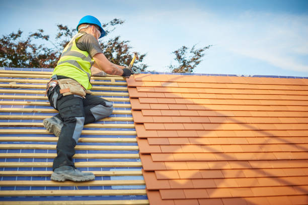 Best Storm Damage Roof Repair  in Licking, MO